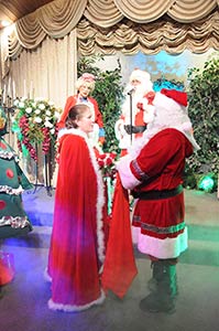 Christmas Themed Wedding Package